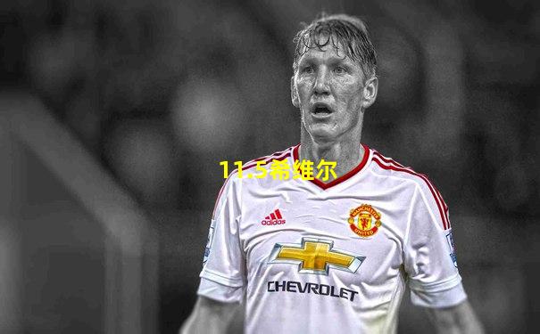 11.5希维尔