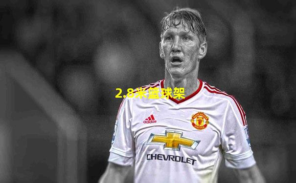 2.8米篮球架