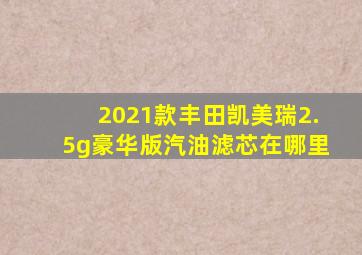 2021款丰田凯美瑞2.5g豪华版汽油滤芯在哪里