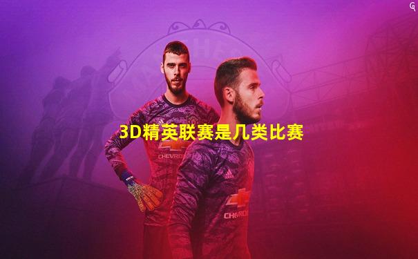 3D精英联赛是几类比赛