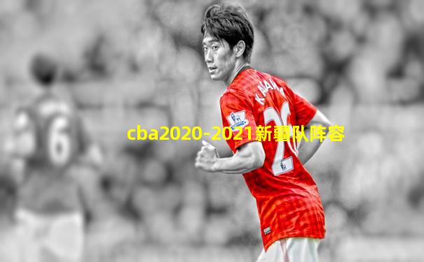 cba2020-2021新疆队阵容