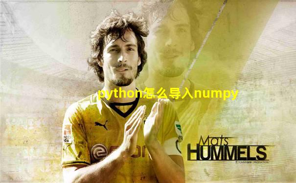 python怎么导入numpy