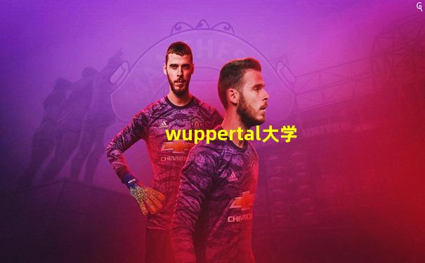 wuppertal大学