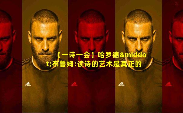 【一诗一会】哈罗德·布鲁姆:读诗的艺术是真正的扩展