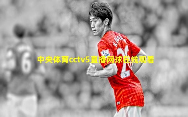 中央体育cctv5直播网球在线观看