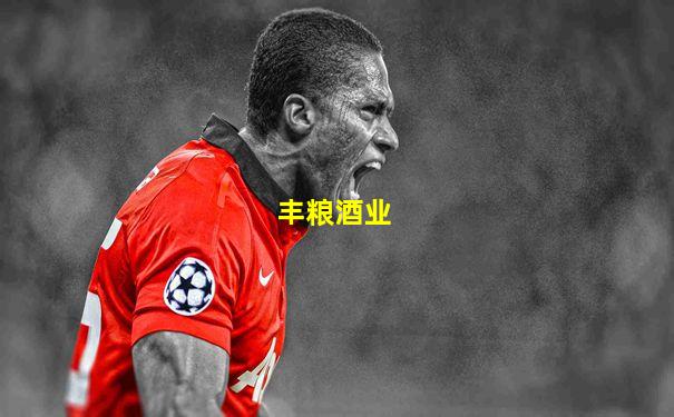 丰粮酒业
