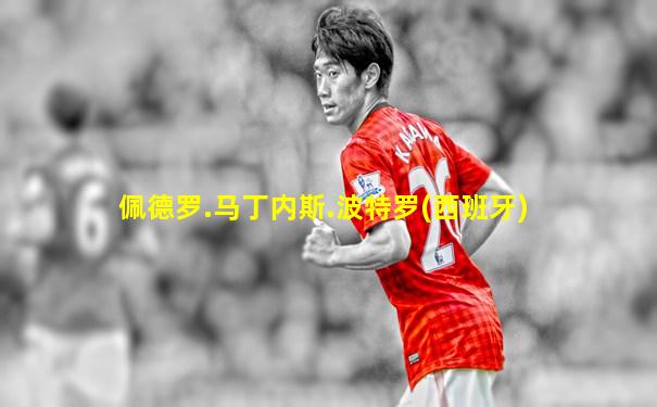 佩德罗.马丁内斯.波特罗(西班牙)