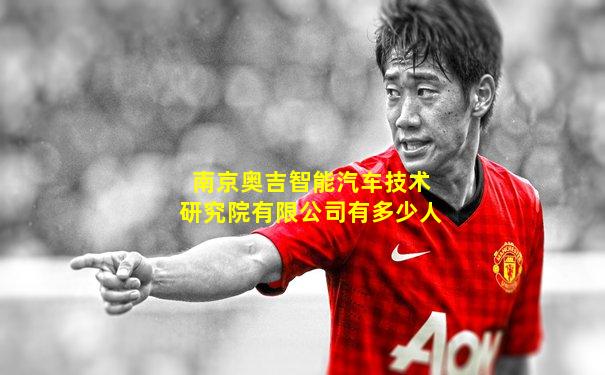 南京奥吉智能汽车技术研究院有限公司有多少人