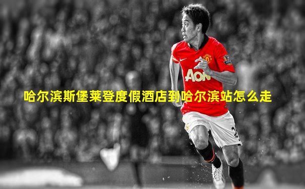哈尔滨斯堡莱登度假酒店到哈尔滨站怎么走