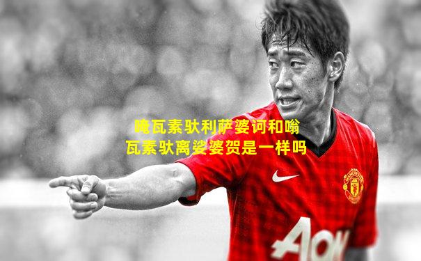唵瓦素驮利萨婆诃和嗡瓦素驮离娑婆贺是一样吗