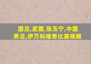 国足,武磊,张玉宁,中国男足,伊万科维奇比赛视频
