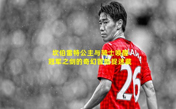 坎伯雷特公主与骑士唤醒冠军之剑的奇幻冒险捉迷藏