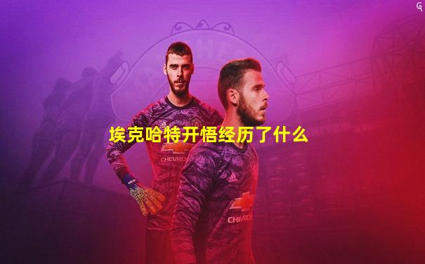 埃克哈特开悟经历了什么