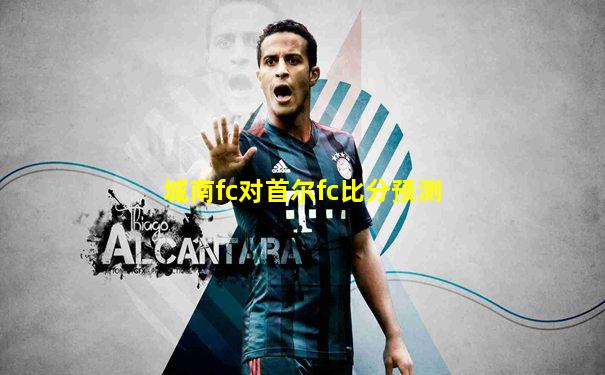 城南fc对首尔fc比分预测