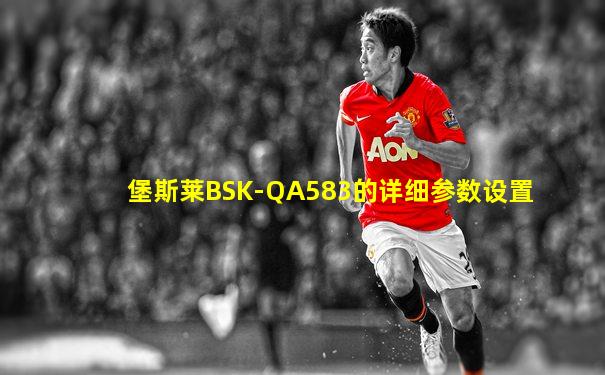 堡斯莱BSK-QA583的详细参数设置