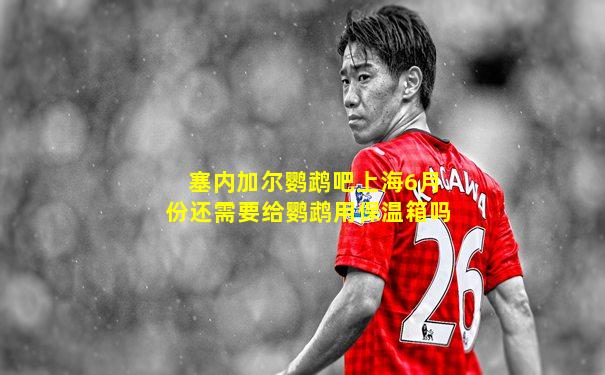 塞内加尔鹦鹉吧上海6月份还需要给鹦鹉用保温箱吗