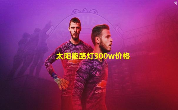 太阳能路灯300w价格