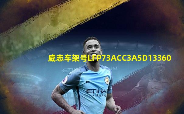 威志车架号LFP73ACC3A5D13360