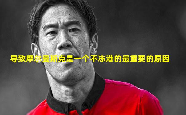 导致摩尔曼斯克是一个不冻港的最重要的原因