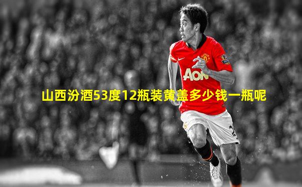 山西汾酒53度12瓶装黄盖多少钱一瓶呢