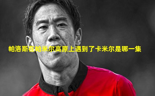 帕洛斯在帕米尔高原上遇到了卡米尔是哪一集