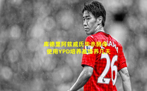 库德里阿兹威氏毕赤酵母使用YPD培养基培养几天