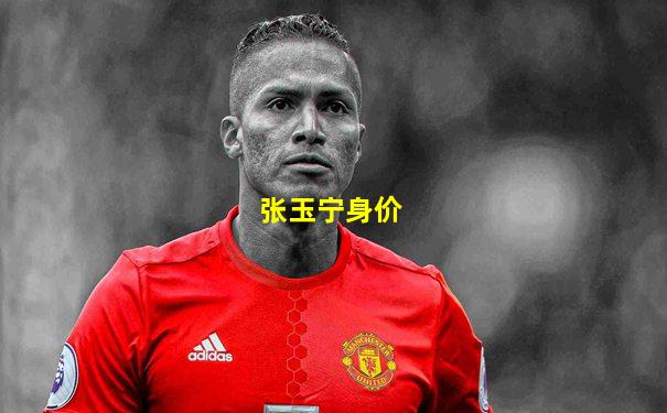 张玉宁身价