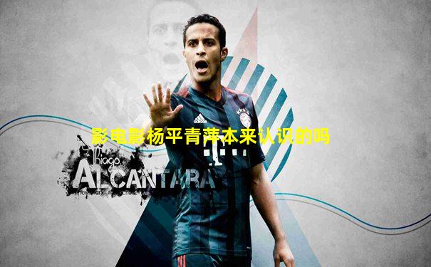 影电影杨平青萍本来认识的吗