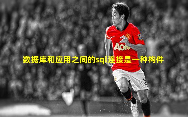 数据库和应用之间的sql连接是一种构件