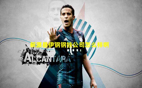 新源县伊钢钢铁公司怎么样啊