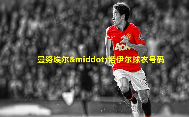曼努埃尔·诺伊尔球衣号码