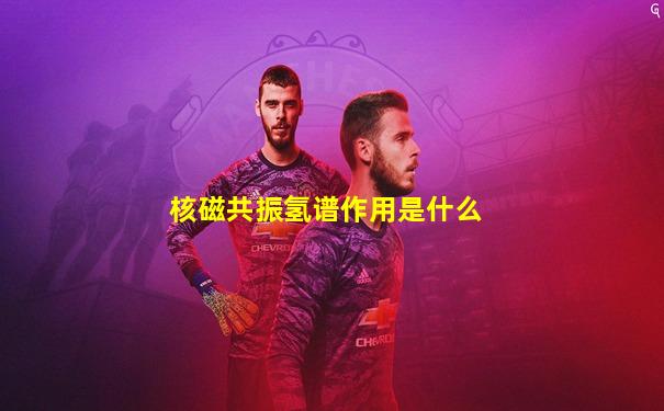 核磁共振氢谱作用是什么