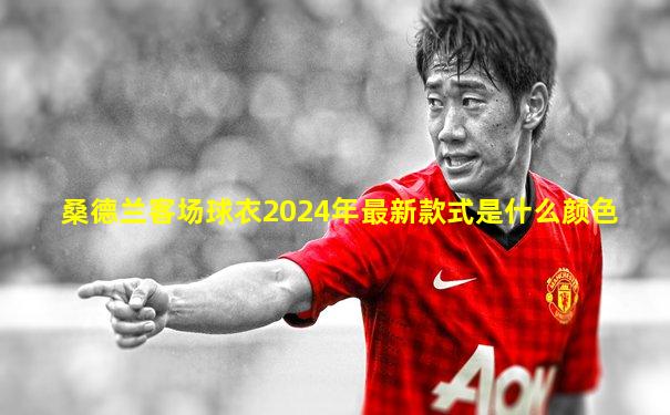 桑德兰客场球衣2024年最新款式是什么颜色