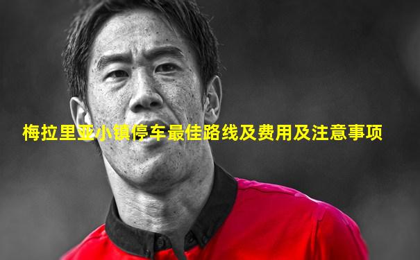 梅拉里亚小镇停车最佳路线及费用及注意事项