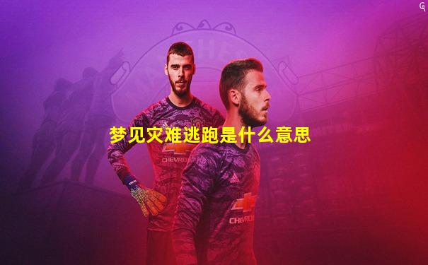 梦见灾难逃跑是什么意思