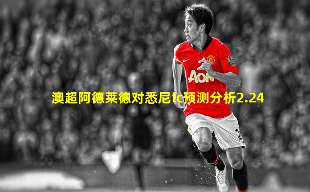 澳超阿德莱德对悉尼fc预测分析2.24