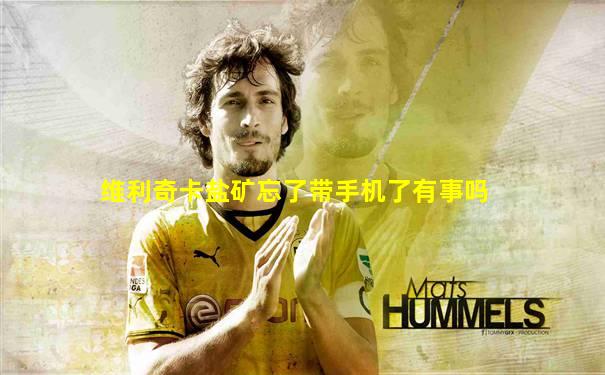 维利奇卡盐矿忘了带手机了有事吗