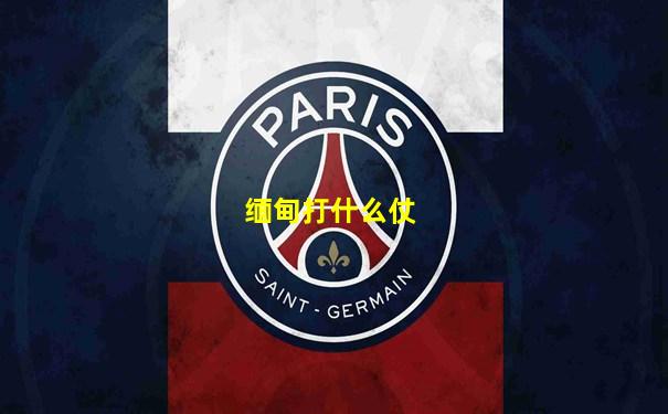 缅甸打什么仗