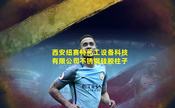 西安纽赛特化工设备科技有限公司不锈钢硅胶柱子
