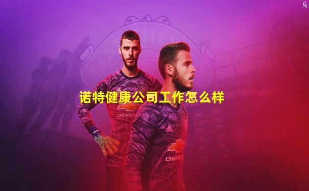 诺特健康公司工作怎么样