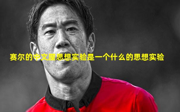 赛尔的中文屋思想实验是一个什么的思想实验