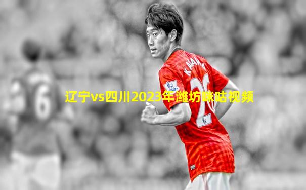 辽宁vs四川2023年潍坊咪咕视频