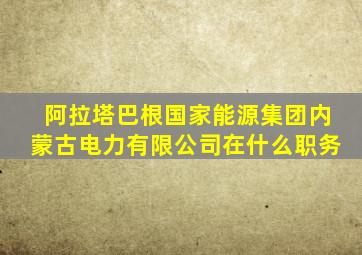 阿拉塔巴根国家能源集团内蒙古电力有限公司在什么职务