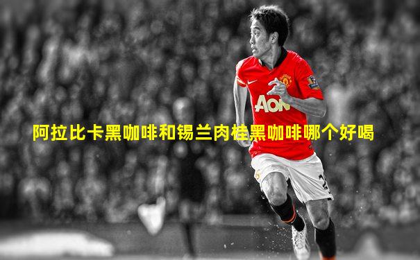 阿拉比卡黑咖啡和锡兰肉桂黑咖啡哪个好喝