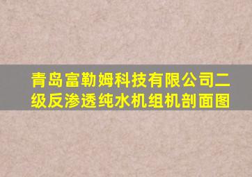 青岛富勒姆科技有限公司二级反渗透纯水机组机剖面图
