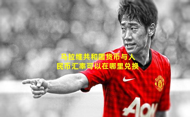 马拉维共和国货币与人民币汇率可以在哪里兑换